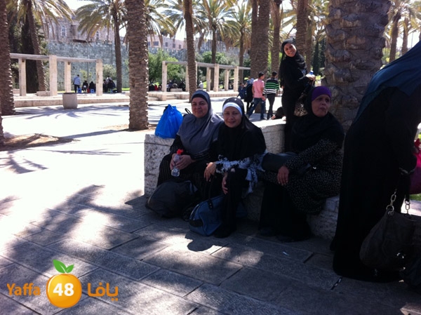 yaffa aqsa 0414 (54).JPG